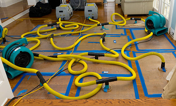 Professional Basement Flood Cleanup technician working in North Dartmouth, MA